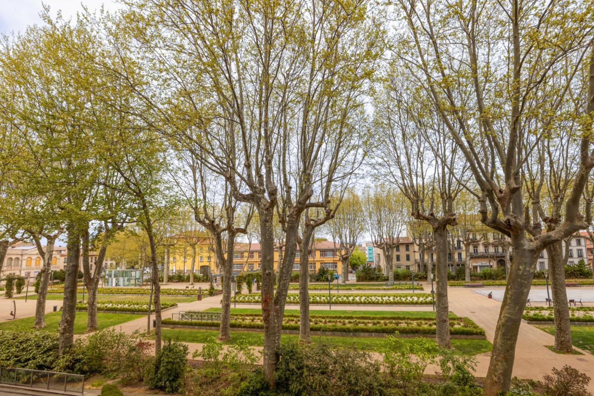 L'Art De Gambetta Conciergeriedamecarcas Διαμέρισμα Καρκασόν Εξωτερικό φωτογραφία